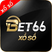 world sudoku champion
